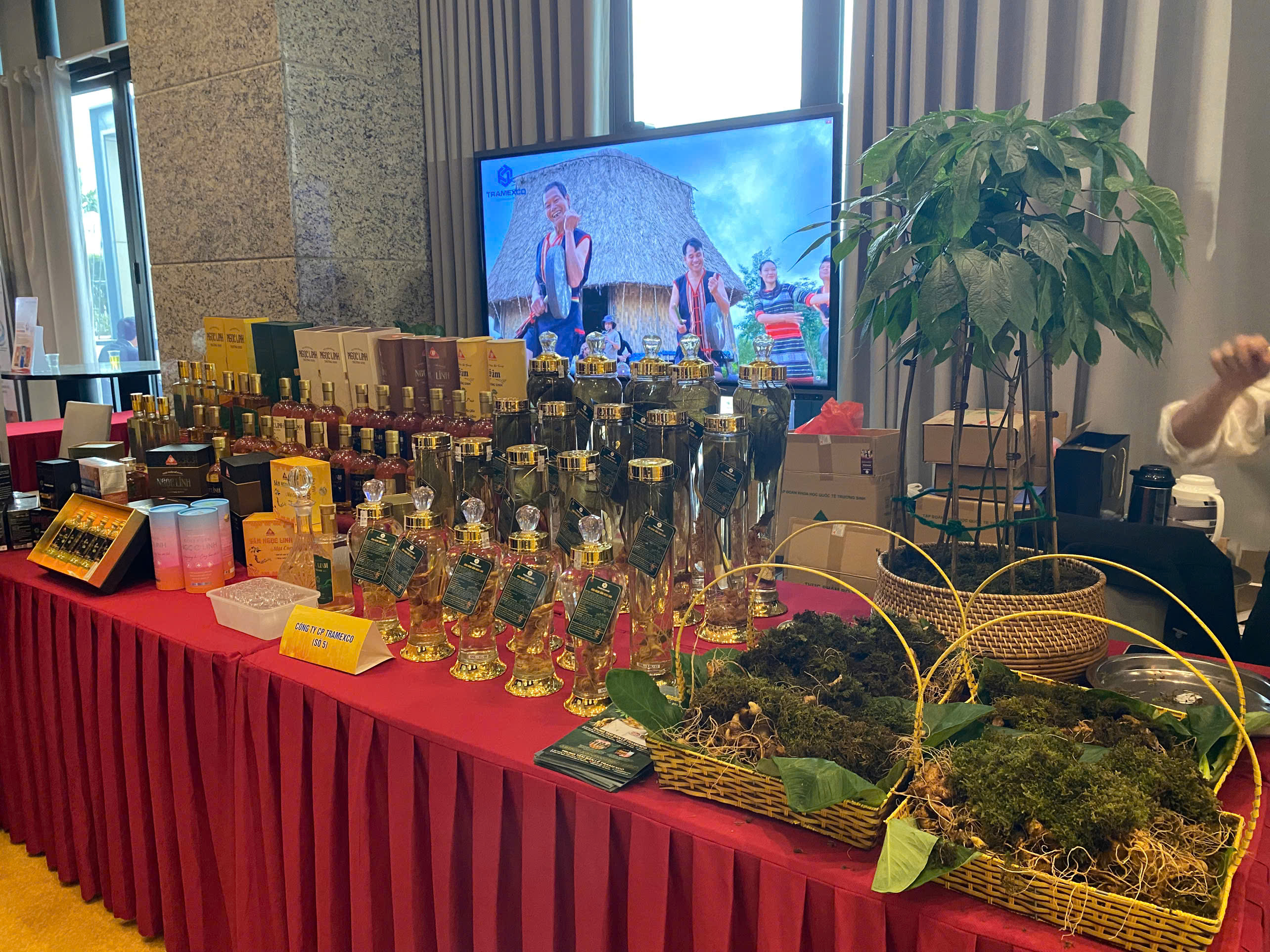 Tramexco giới thiệu sản phẩm Sâm Ngọc Linh tại Hội nghị xúc tiến thương mại & kết nối giao thương Thanh Hóa 2025